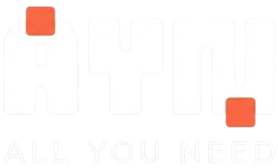 AYN – All you need